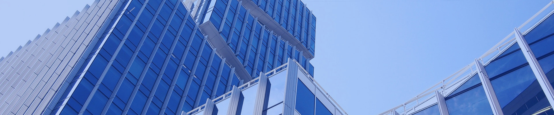 電子機(jī)油泵電機(jī)-浙江瑞溪電子科技有限公司